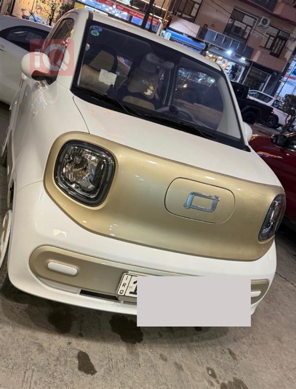 بيستون بوني 2025 للبيع في العراق -  بغداد